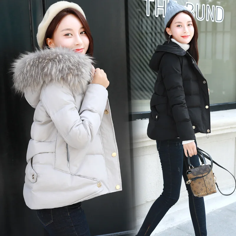 

Cotton-padded Clothes/Cotton Coat 2018 Winter with Fur Collar Casual Comfortable Solid Color with Fur Collar