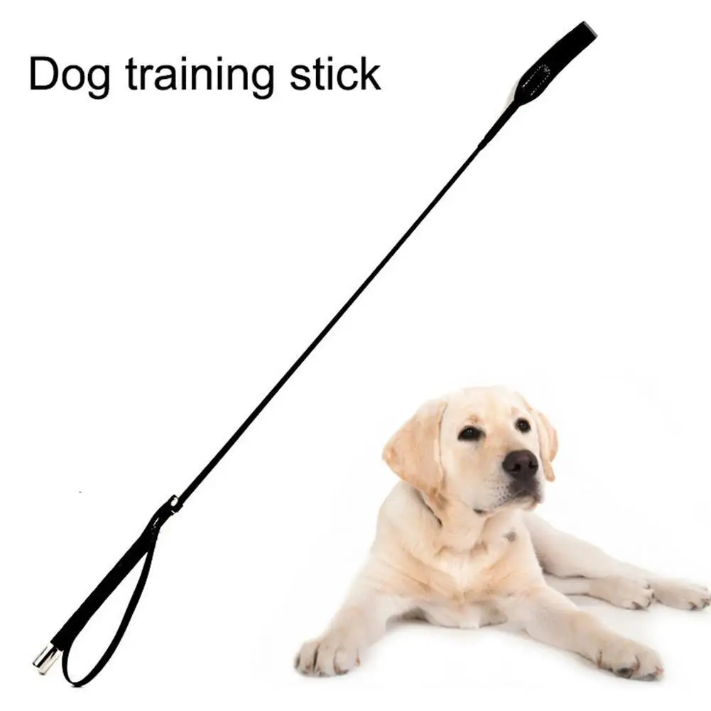 Dog Whip Pet Beating Stick Interactive Training Equipment Toy Training