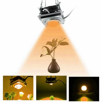 

110/220V 60W LED Grow Light Plug Full Spectrum LED Indoor Veg Seed Plant Growth Lighting Growing Lamp