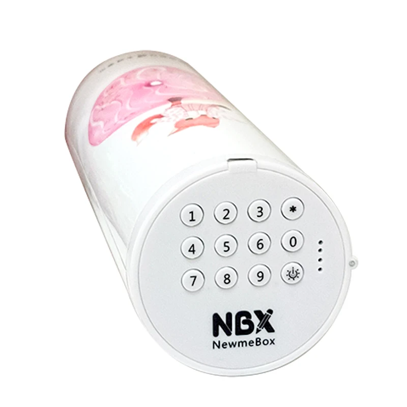 NBX кодовый паролем многофункциональный кавайный чехол для карандаша большой