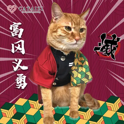 Костюм для косплея животных из аниме киметасу нет яиба одежда маленьких кошек