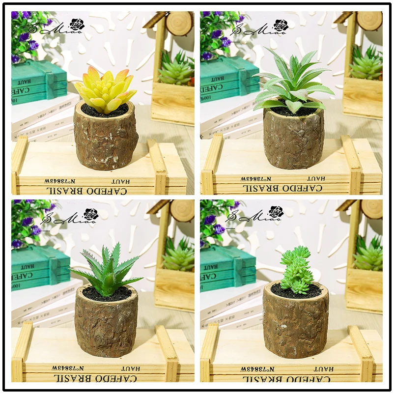 11314264292_98600638