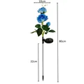 Blue Rose