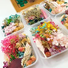 Real Natural Mix Dried Flower Dry Plants DIY Making Craft Accessories Real Flowers For Aromatherapy Necklace Jewelry Making Real Natural Mix Dried Flower Dry Plants DIY Making Craft Accessories Real Flowers For Aromatherapy Necklace Jewelry Making