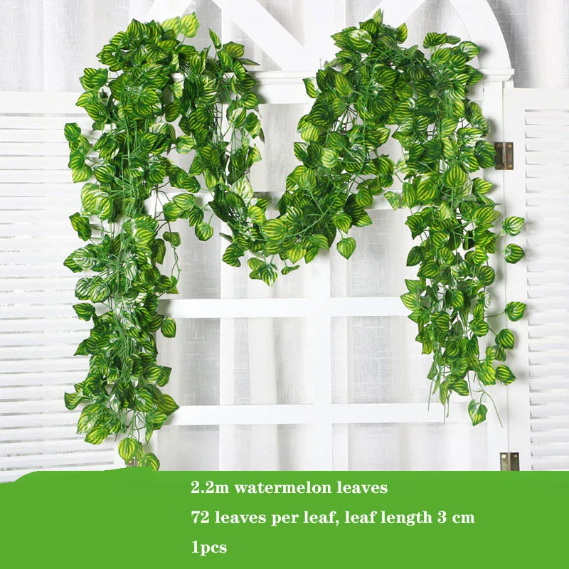 11116908942_1451029161