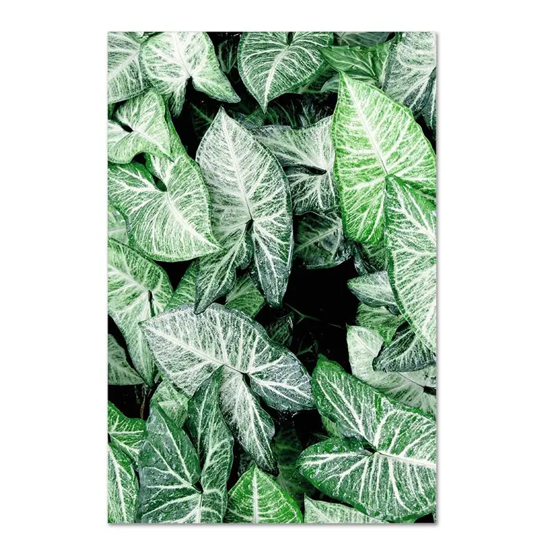 Green-Plant-Monstera-Fern-Canvas-Wall-Painting-Art-Poster-Nordic-Botanical-Print-Scandinavian-Picture-for-Living (5)