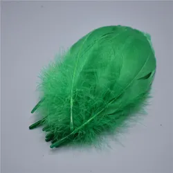 Peppermint Green Goose Nagoire Feathers for Crafts and Decoration (Grass green)