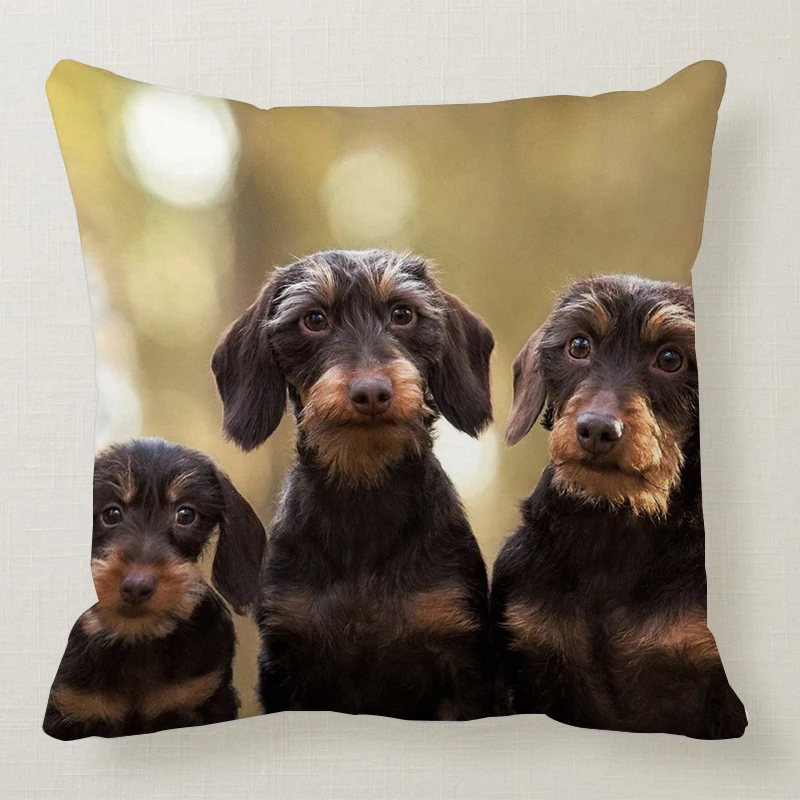 1 шт. 45*45 см милая собака подушка чехол Wirehaired подушки с таксой диван кровать