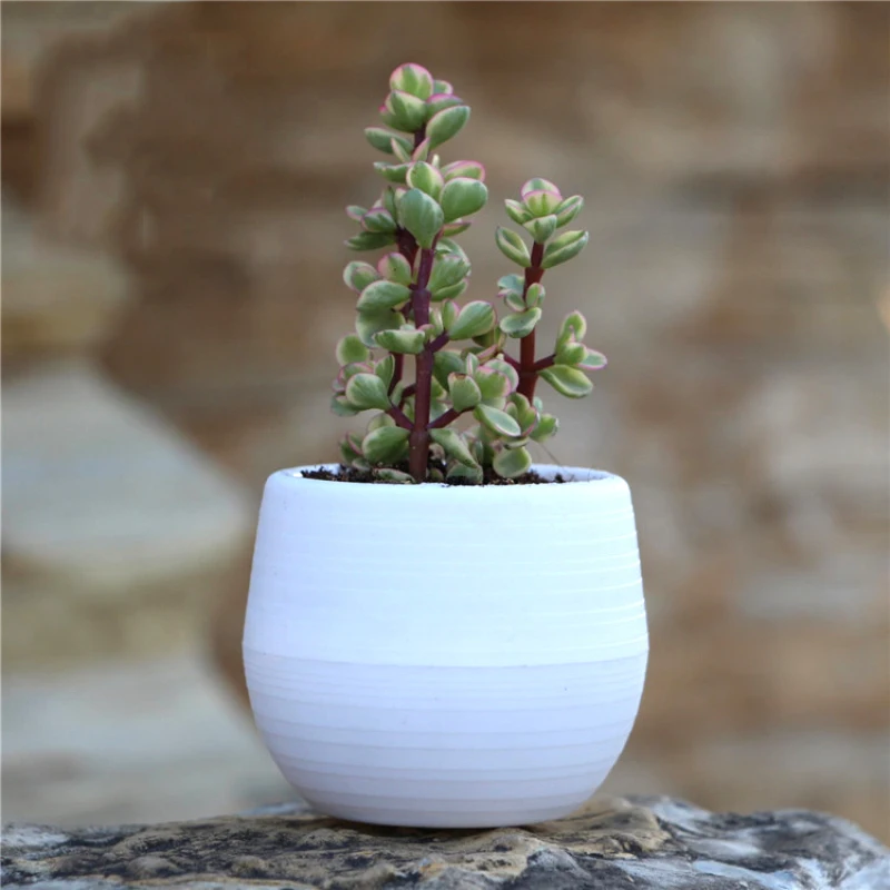 Mini Flowerpot Indoor Garden For Succulent Plant Pot Plastic Plant Flower Pot Garden Home Office Derocation 1PC flower pot,plant pot