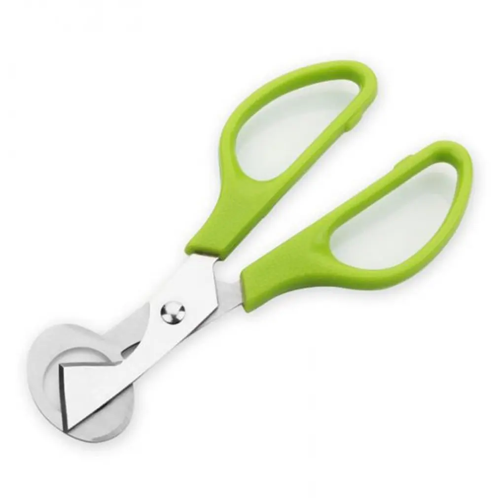 

Pigeon Bird Quail Egg Cutter Tool Quail Egg Scissors Opener Cracker Stainless Steel Blade Kitchen Tool Clipper Green 1 Pack
