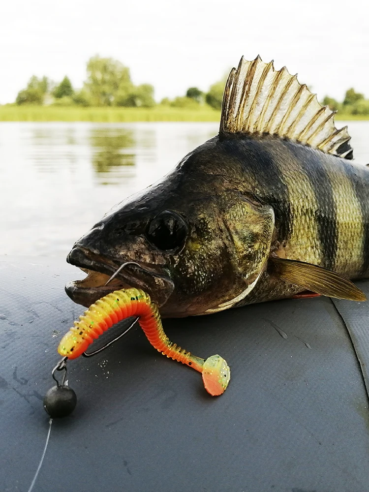 ESFISHING Swing Impact 100 мм кольцо Shad Jigging искусственные мягкие приманки воблер для щуки окуня рыболовные приманки (art.: 7a5e90102) - 7a5e90102