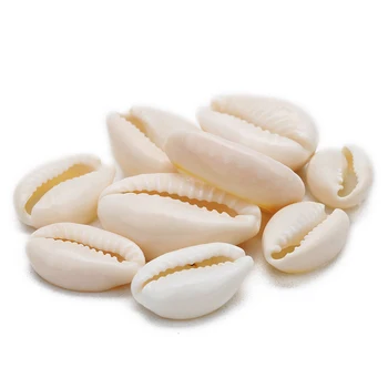 

louleur 20pcs White Natural Sea Shell 10x16mm 15x22mm Cowrie Shell Bead Charms for DIY Shell Bracelets Jewelry Making Findings