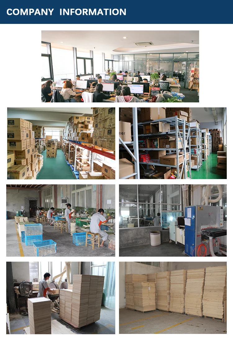 Mideer Wooden Plant Specimens Toy,Funny Wooden Art Outdoor Play Learning Educational Toys