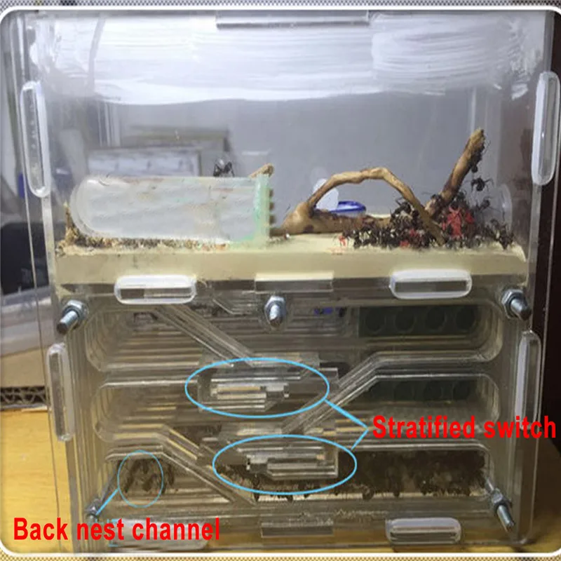 

150mmx54mmx110mm Big DIY Moisture With Feeding Area Ant Nest ,Ant Farm Plastic, Insect Ant Nests Villa PET For House Ants