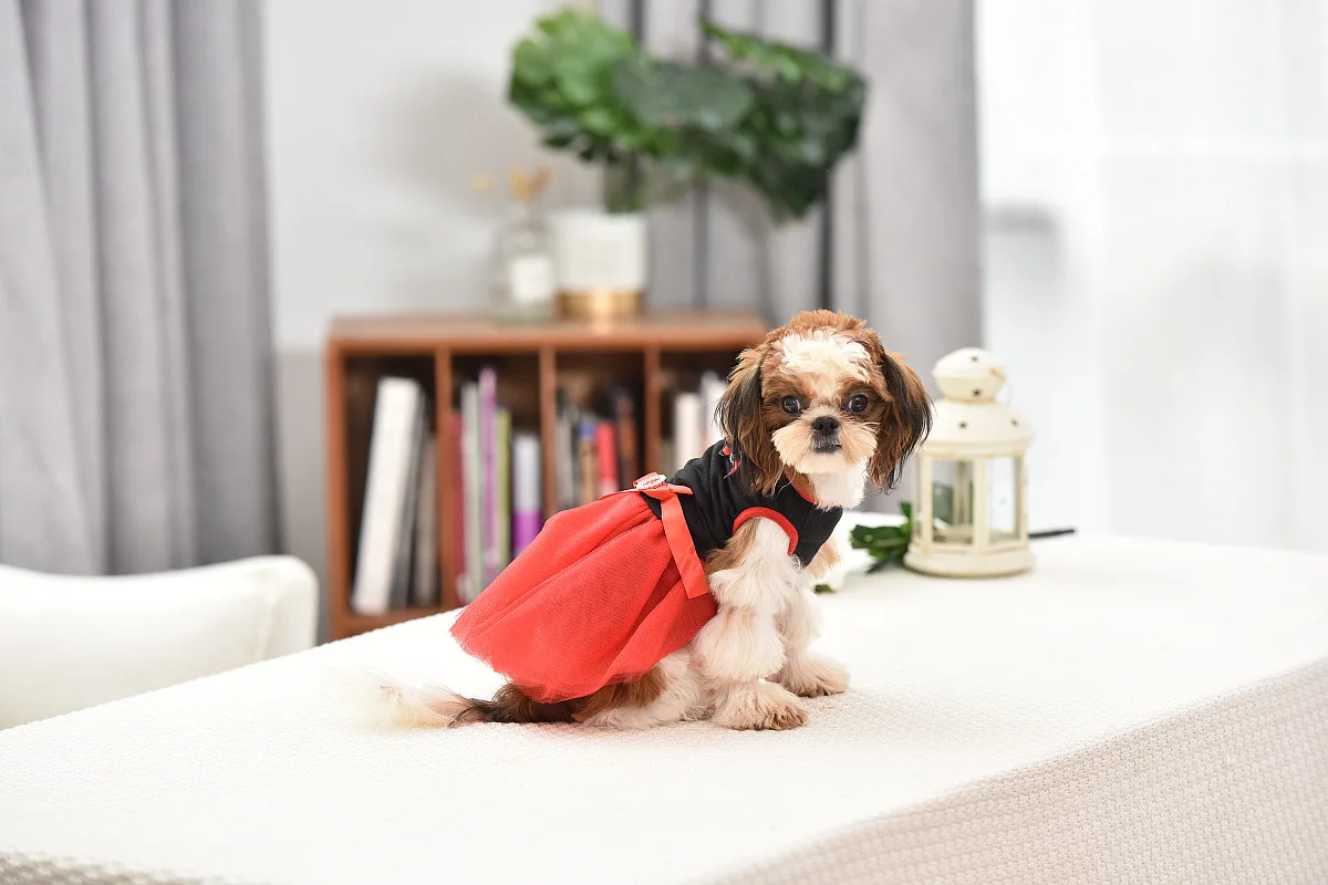 优宝龙宠物衣服 (21).jpg