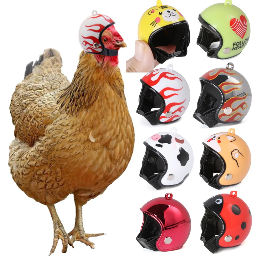 Sale Costumes Pet-Supplies Chicken-Helmet Bird Funny Protect-Cap Plastic Headgear Abs-Toy xmQKM3jgGRr