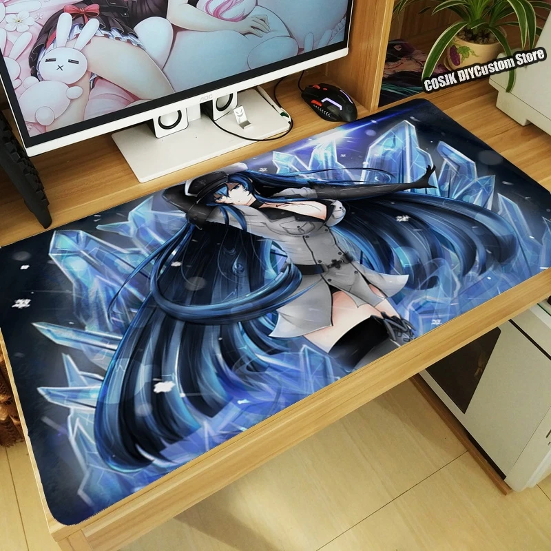 ߰ſ ִϸ̼ Akame ga KILL Esdeath ӿ ǻ 콺 е  콺 Ʈ ̲   ũ Ʈ ̽ 콺 е Xmas 