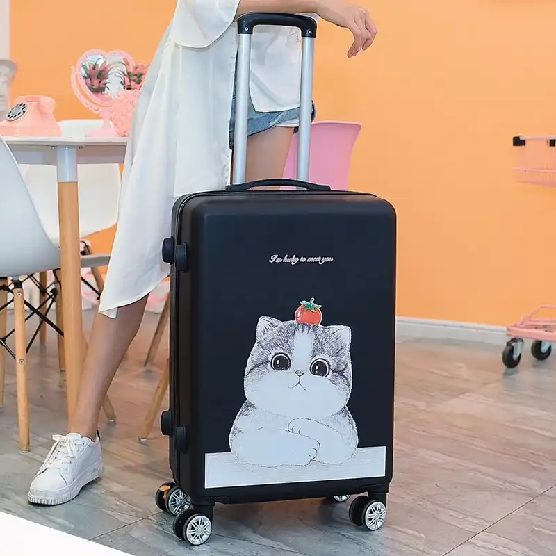 stylish suitcases