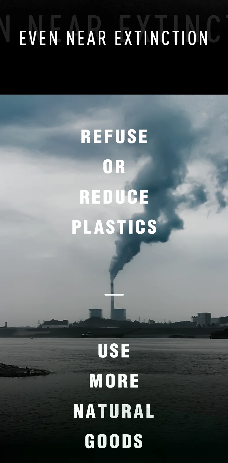 EcoFriendly Bamboo Dental Floss with Recyclable Bottle Dispenser