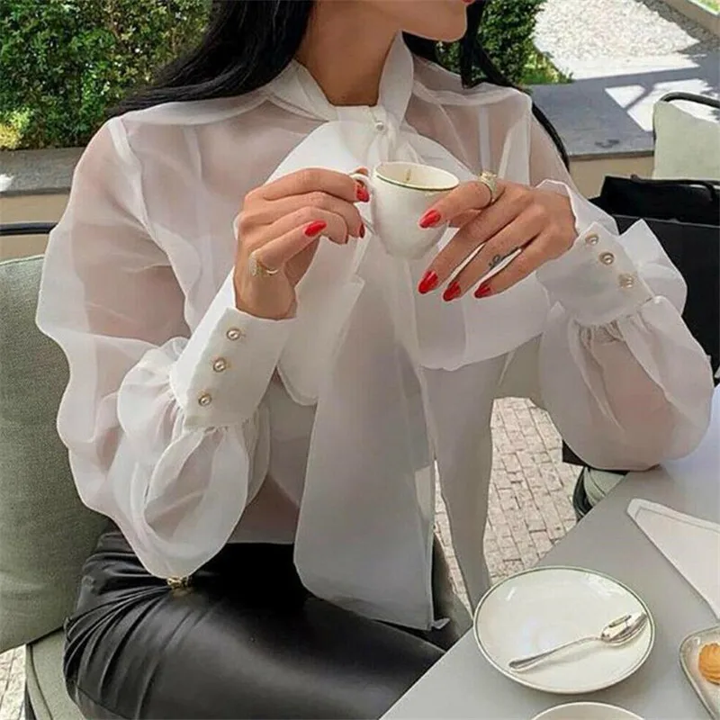 

Women's See-through Sheer Mesh Dot Blouse Puff Long Sleeve T-shirt Tops