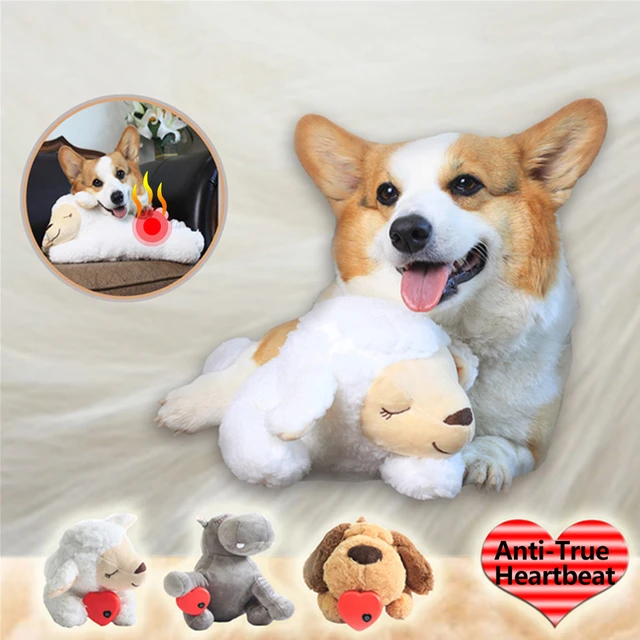 Dog Heartbeat Toy for Anxiety Relief Dog Soft Plush Toy Pet Calming Puppy  Behavioral Training Aid Toy Pet Companion Pillow - AliExpress