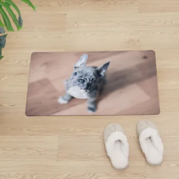 

Loyal docile French Bulldog Protective Floor Mat PVC Entrance Door Mat Non-slip Kitchen Carpet Modern Home Customized Doormat