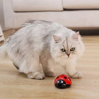 

Catch Me If You Can Super Fun Dog Toy, AAA Battery-Operated Pet Toy Cats-Go-Crazy Toys Cat Toy