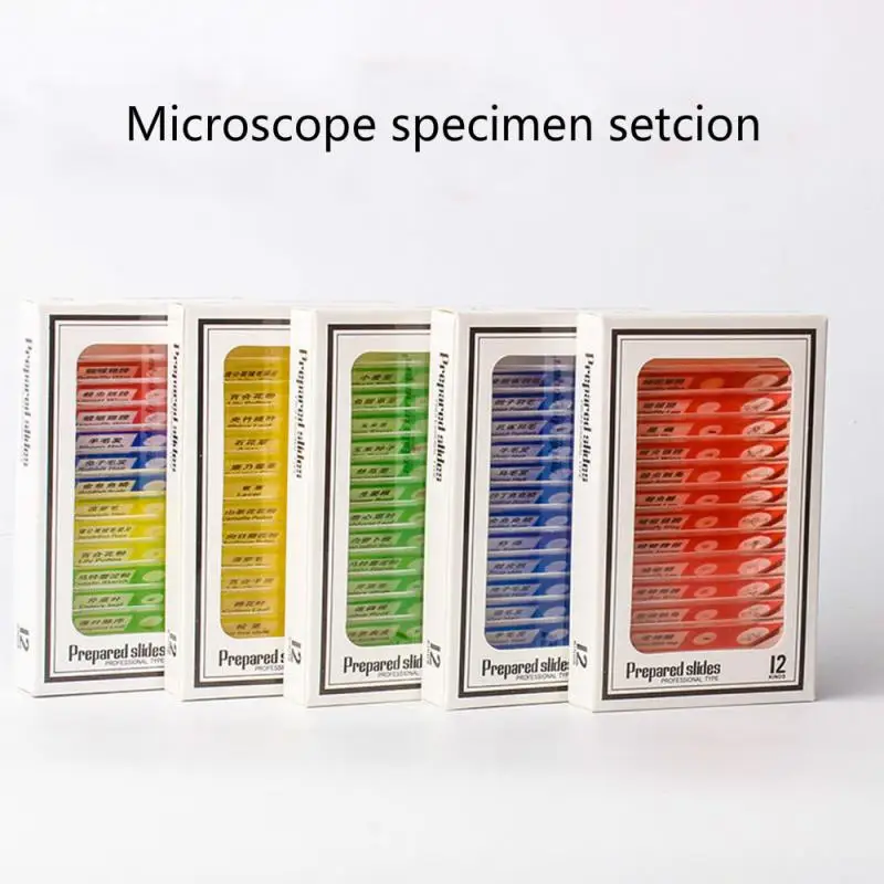 12/48Pcs/Set Prepared Microscope Slides Specimen Animals Insects Plants Flowers Sample