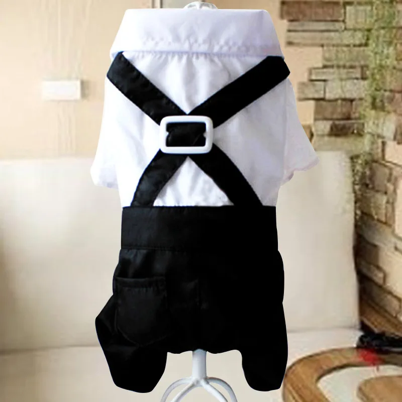 HTB1nrkWQXXXXXb1aXXXq6xXFXXXU