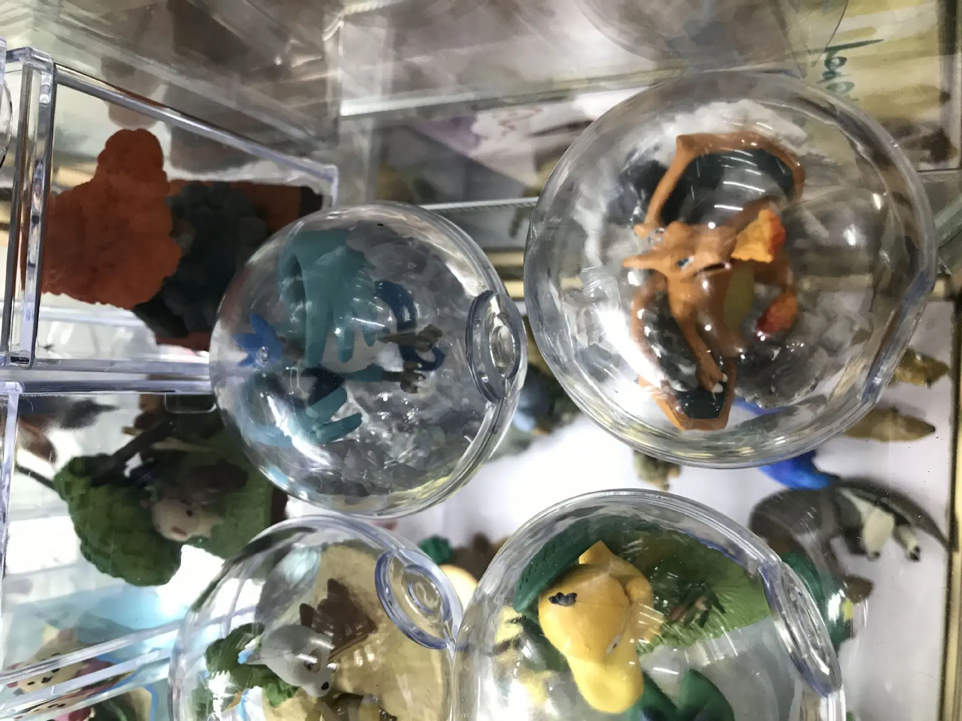 Pet Elf 6-Transparent Poke Ball Pikachu Bulbasaur Charizard Capsule Toy Decoration