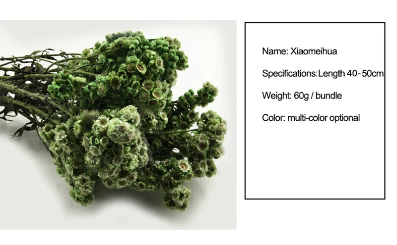 HTB1vbx8bELrK1Rjy0Fjq6zYXFXam