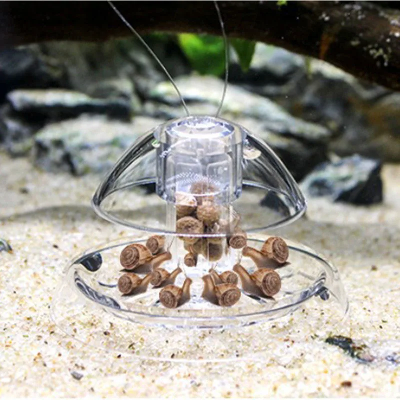 Trampa para Caracol de plástico para pecera, Caja de captura de plagas, herramienta de limpieza para el Medio Ambiente, Planaria
