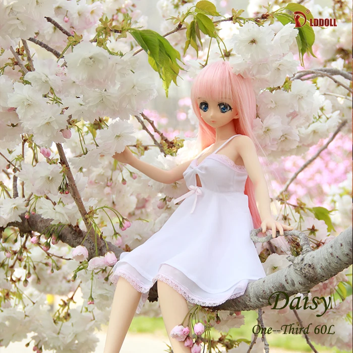Рисунок 4 - LDDOLL 60 см 1/3 BJD  DD  SD  SFD