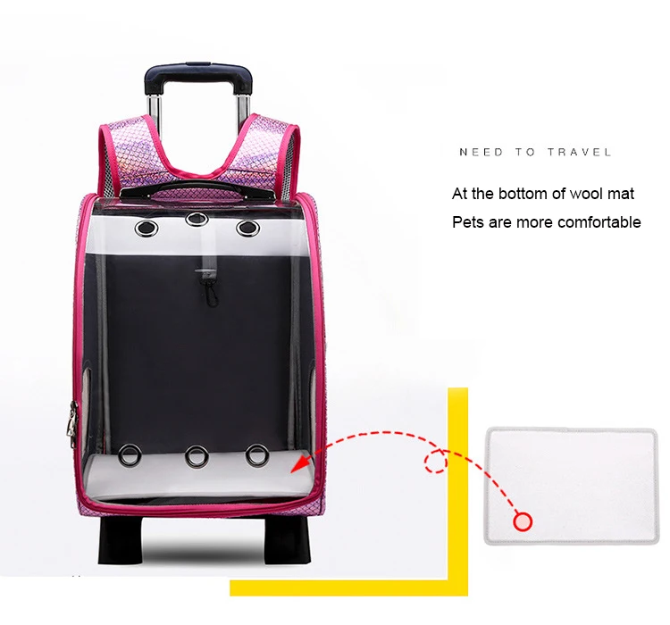 HTB1HTKJbEuF3KVjSZK9q6zVtXXak