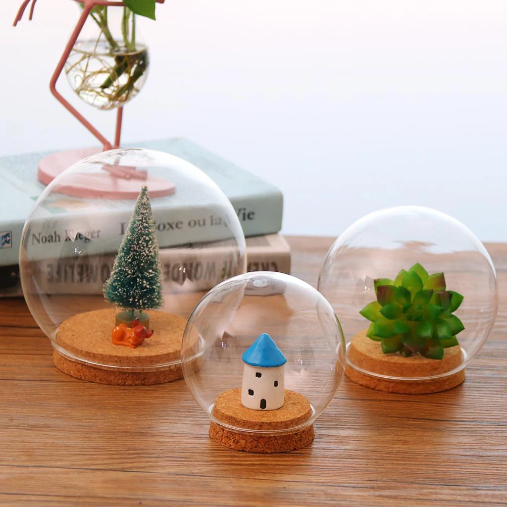 Glass Display Cloche Terrarium Ball Shaped Cover Cork Base with Wooden Base