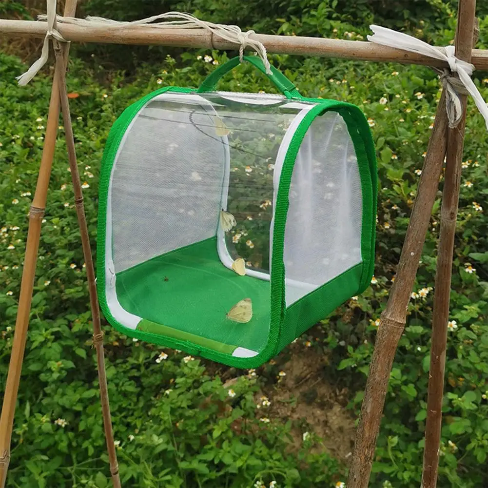 Green Collapsible Insect Cage Mesh Insect Habitat Cage Butterfly Mantis