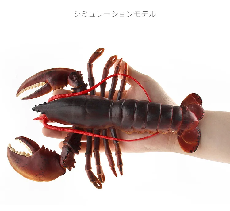 Морские организмы модель морепродукты Омары океаны животное модель подводная игрушка кукла украшения пластик