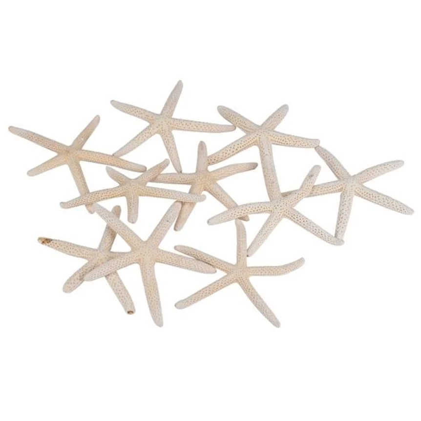 10pcs 6-10cm Starfish Craft Decoration Natural Sea Stars DIY Beach Cottage Wedding Decor Crafts Wedding Drop Shipping