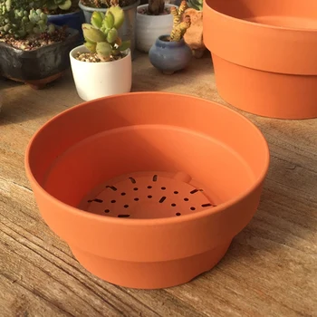 

5PCS Succulent Platter Green Plants Potted Balcony Flower Pot Gardening Supplies