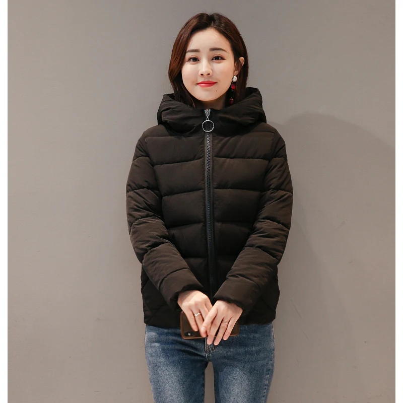 2019 Casual Brief Women Winter Jacket Hooded Padded Autumn Plus Size 5_A5_6