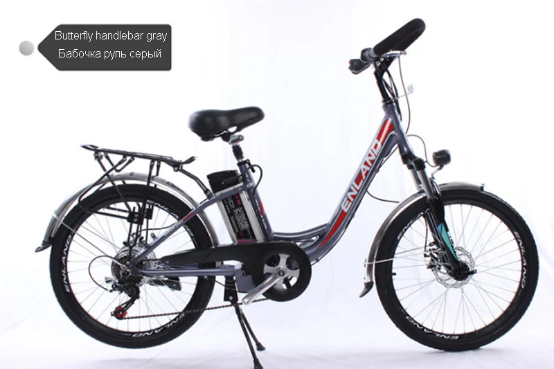 Новинка, 24 дюйма, 250 Вт, 48 В, электрический велосипед с переменной скоростью, двойной дисковый тормоз, алюминиевый сплав, e велосипед, литиевая батарея, электрический велосипед, ebike - Цвет: 10 ah BH gray
