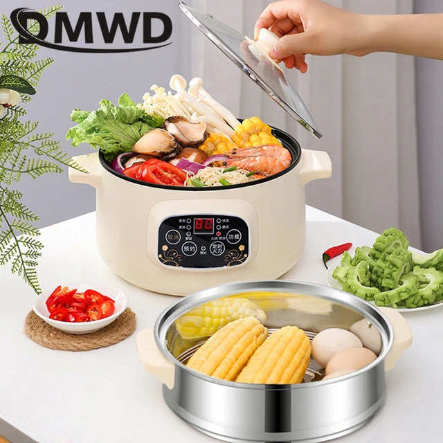 DMWD 3L 110V 220V Non-stick rice cooker Multifunctional hotpot with steamer insulation fast heating electric multiccoker 2 layer 2