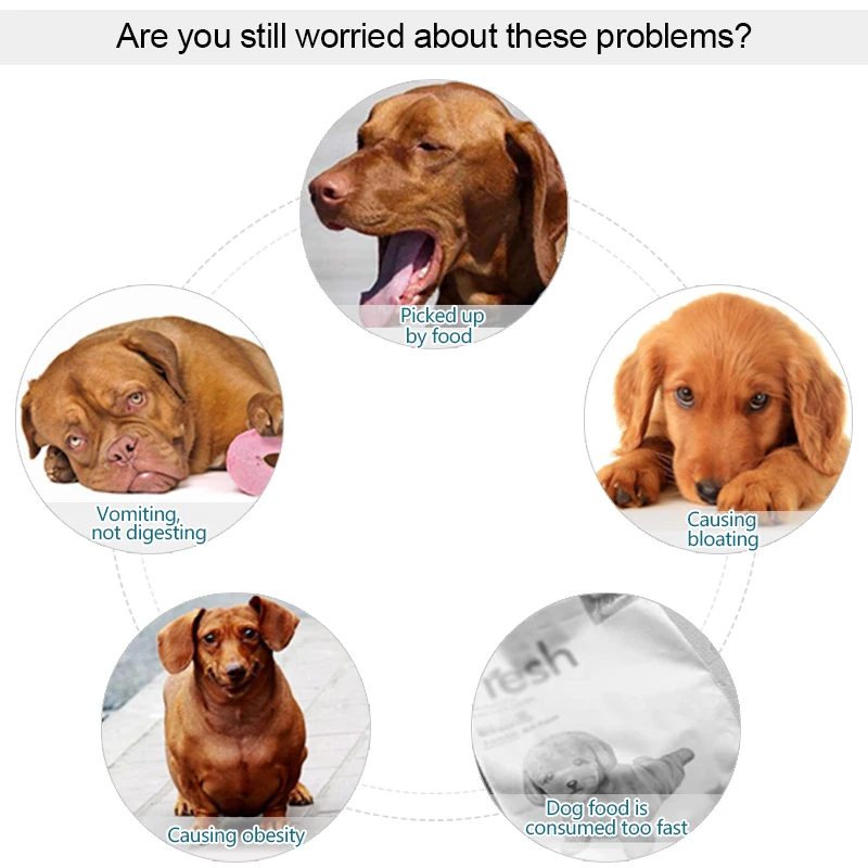 3. 详情&细节 (5)