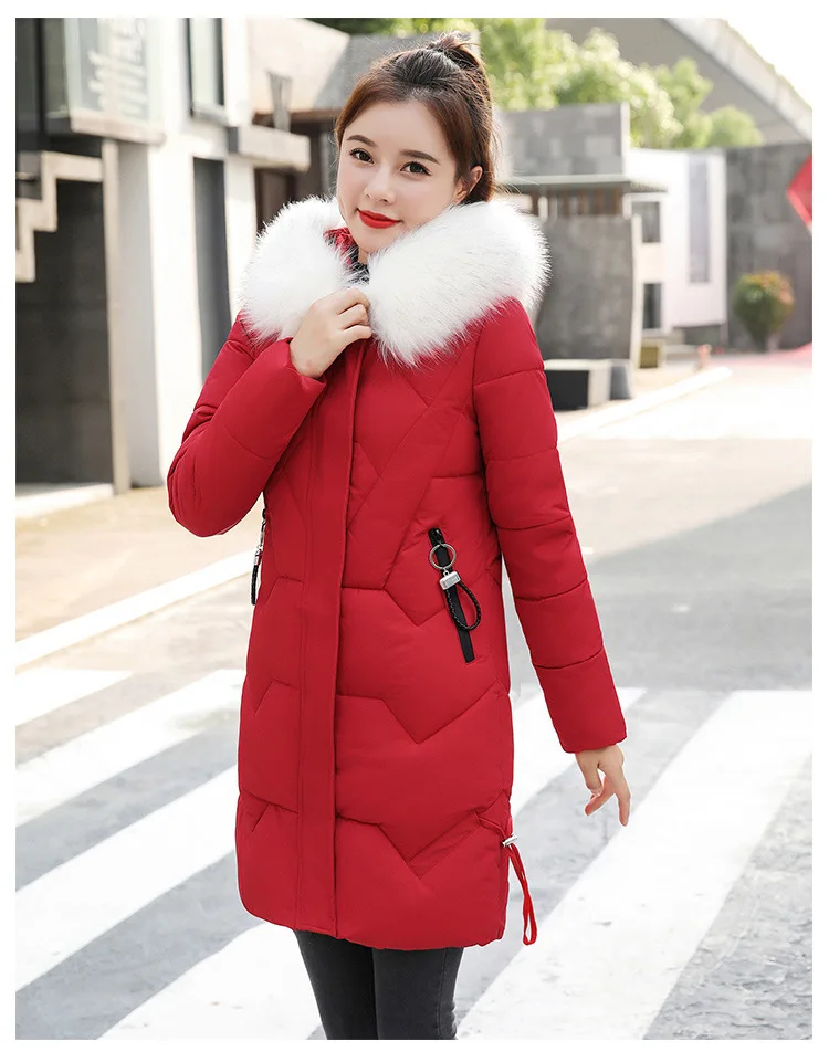 Cotton2_21.jpg