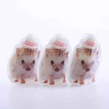 

2020 Hot Sale Food Packaging Bag Waterproof Ziplock Cute Rat Closet Organizer