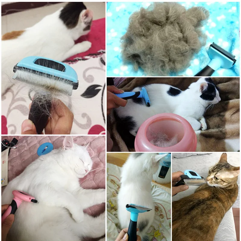 Detachable Pet Hair Removal Comb Dog Short Medium Hair Brush Handle Beauty Brush Accessories Comb For Cats Grooming Tool Detachable Pet Hair Removal Comb Dog Short Medium Hair Brush Handle Beauty Brush Accessories Comb For Cats Grooming Tool