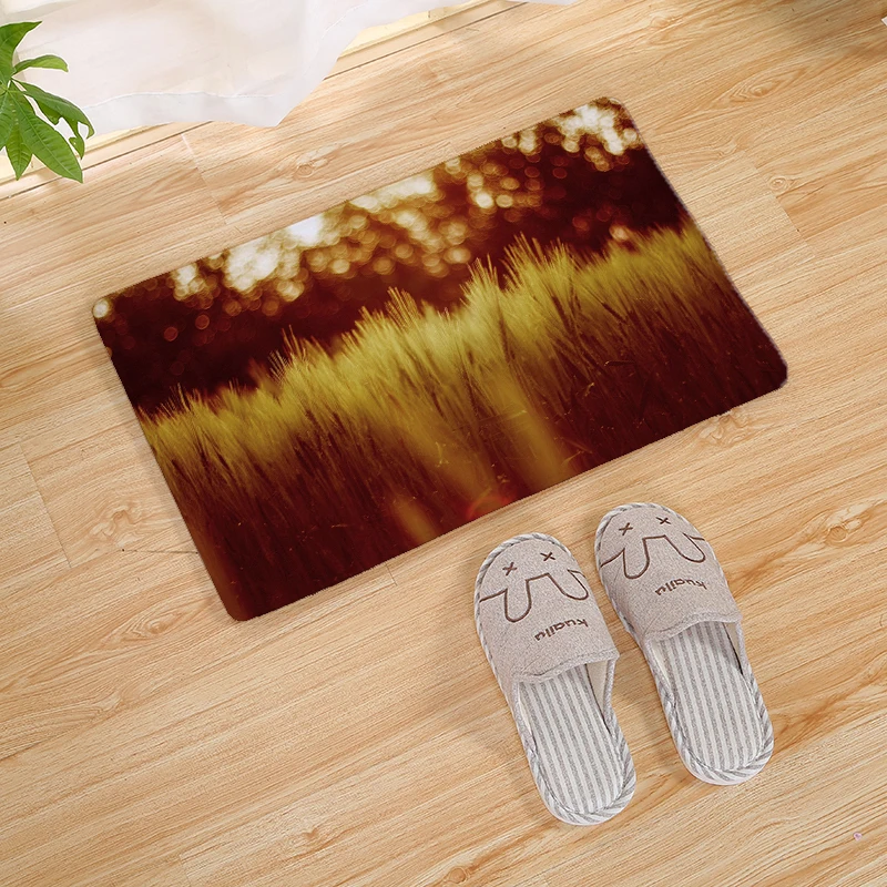 12 Natural Scenery Print Home Mat Outdoor Doormat Kitchen Floor Carpet Rugs Insole Kitchen Rugs Indoor Bathroom Non-slip Floor Mats - Цвет: 12