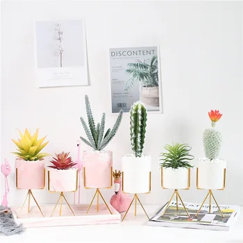 

INS Northern European-Style Artificial Succulent Pant Decoration Small Ornaments Living Room Desktop Mini Green Vegetation Cactu