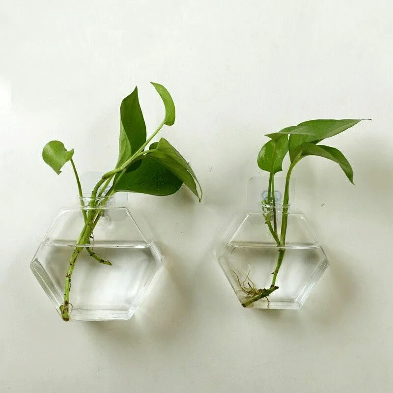 

Terrarium Ball Globe Shape Clear Hanging Glass Vase Flower Planter Pots Wall Fish Tank Aquarium Container Homw Decor