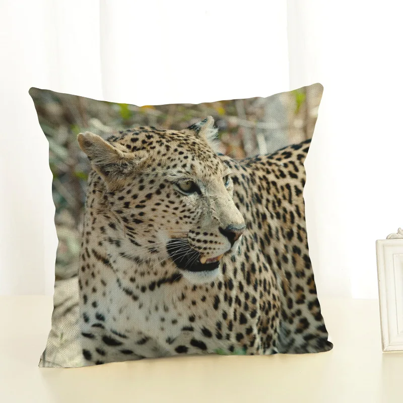 8823490090_1255064235